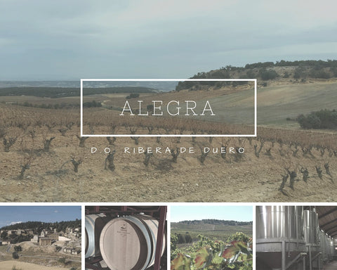 Nieuw, Alegra – Ribera del Duero met bereik