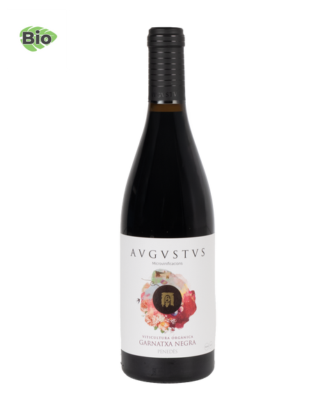 Avgvstvs Garnatxa Negra 2023