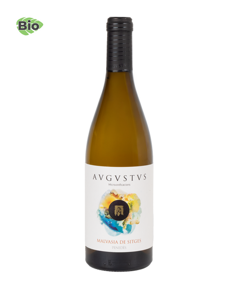 Avgvstvs Malvasia de Sitges 2024