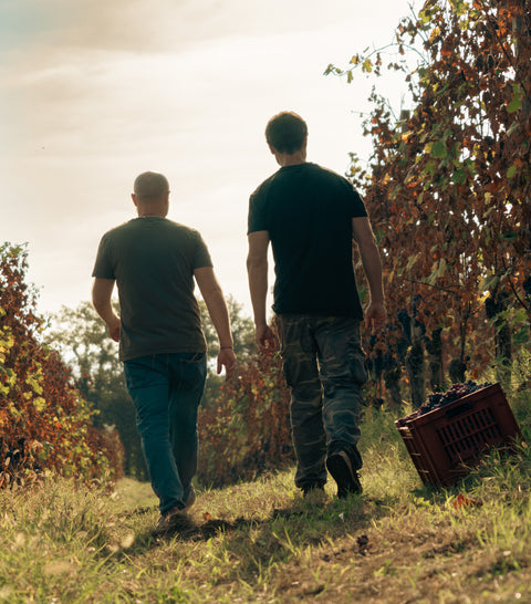 Negretti Langhe Chardonnay 'Dinoi' 2022