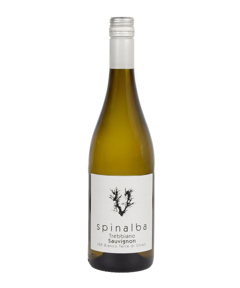 Venea 'Spinalba' 2023