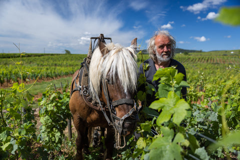 Domaine Lucien Jacob, Bourgogne